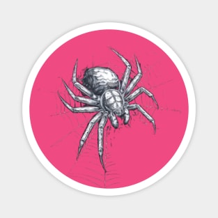 Art and  Natural Science of Spider Silk Magnet